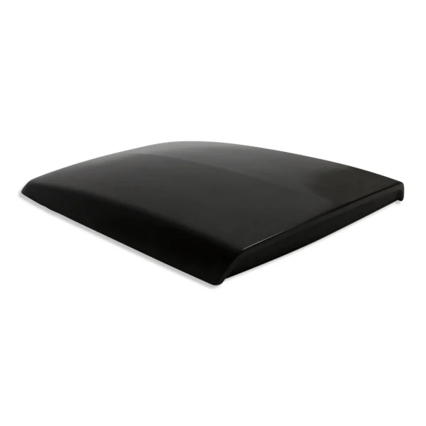 3D Carbon Entrada de Aire Capot Mustang